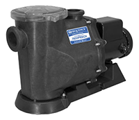 MDM Sequence Primer Alpha Pump b