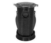 MDM Sequence Primer Alpha Pump c