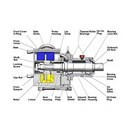 MasoSine SPS Labeled Cutaway