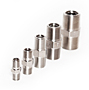 BLACOH SENTINEL 316 SS Check Valves