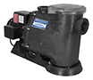 MDM Sequence Primer Alpha Pump a