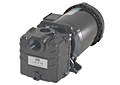 1 1/4" Self Priming Pumps